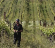 Roots run deep for British Wine Family in Galilee
